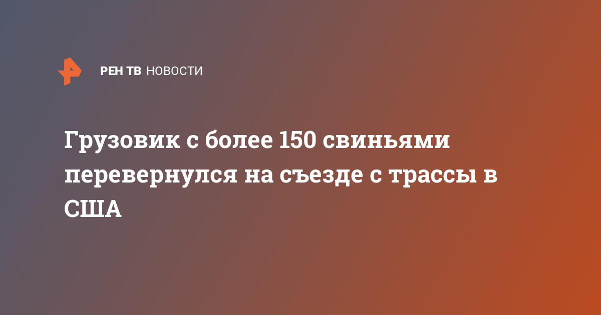 Грузовик с более 150 свиньями перевернулся на съезде с трассы в США  — 12.06.2024 — В мире на РЕН ТВ