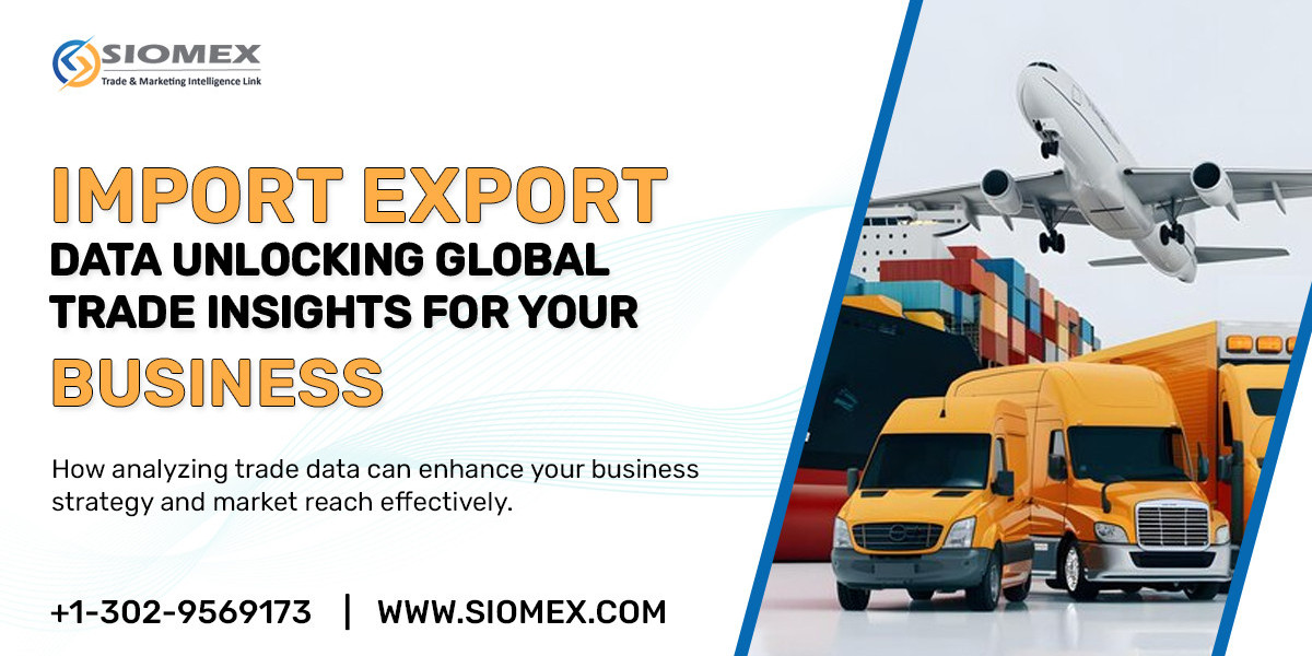 Key Features to Look for in an Import Export Data Provider.