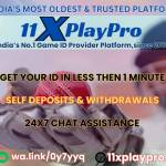 11xplay pro Profile Picture